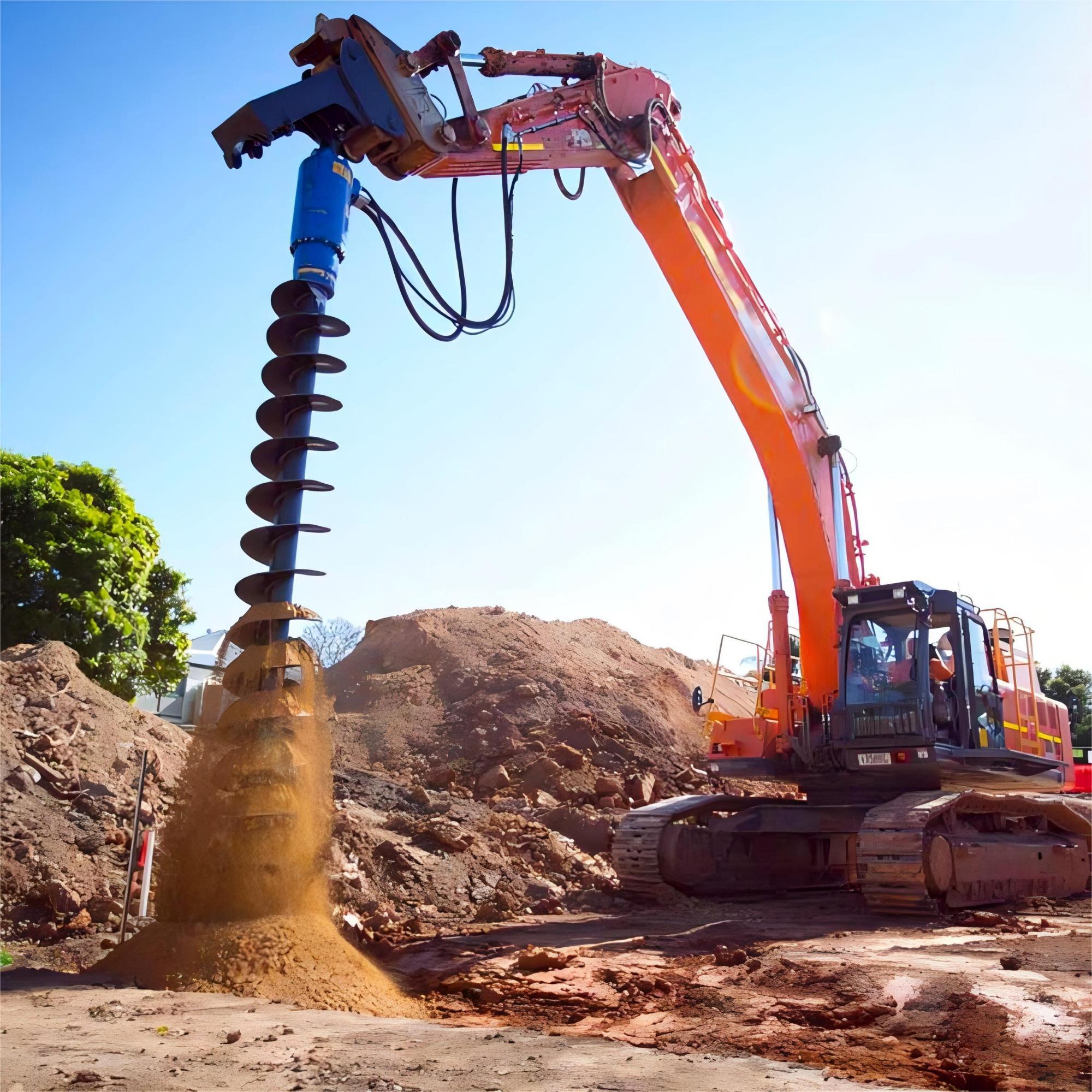 Excavator affectus - Auger terebras