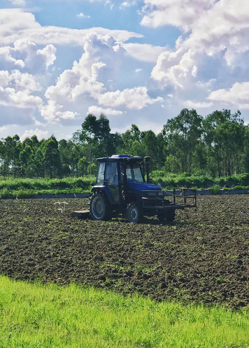 Farmland cultura