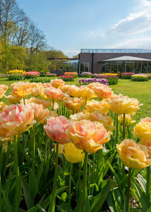 Hortus operatio